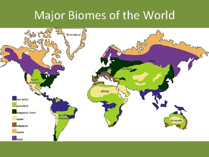 Major Biomes of the World 
