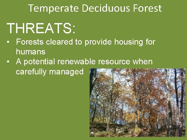 Temperate Deciduous Forest THREATS: • Forests cleared to provide housing for humans • A