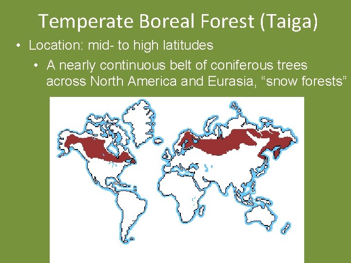 Temperate Boreal Forest (Taiga) • Location: mid- to high latitudes • A nearly continuous