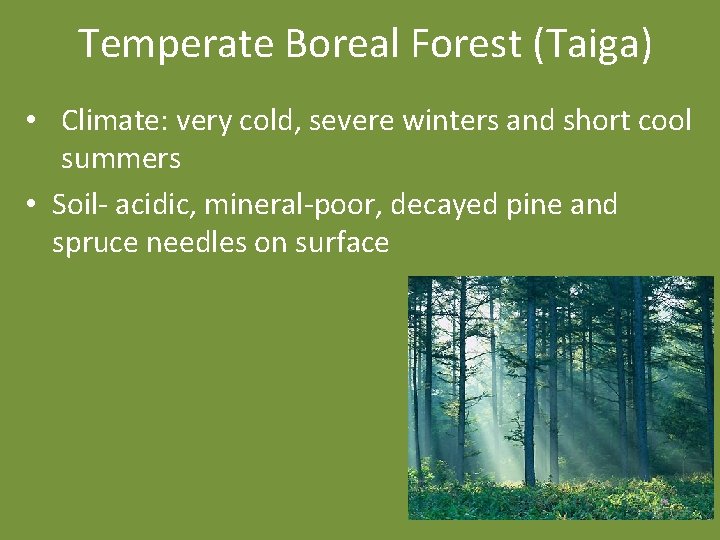 Temperate Boreal Forest (Taiga) • Climate: very cold, severe winters and short cool summers