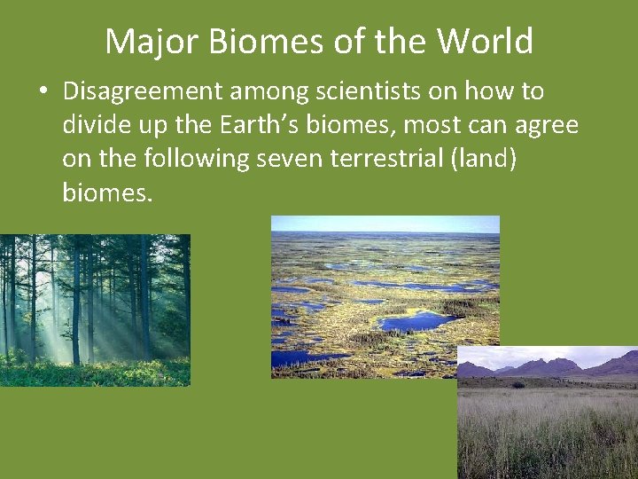 Major Biomes of the World • Disagreement among scientists on how to divide up