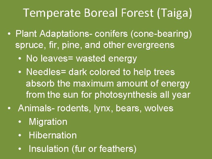 Temperate Boreal Forest (Taiga) • Plant Adaptations- conifers (cone-bearing) spruce, fir, pine, and other