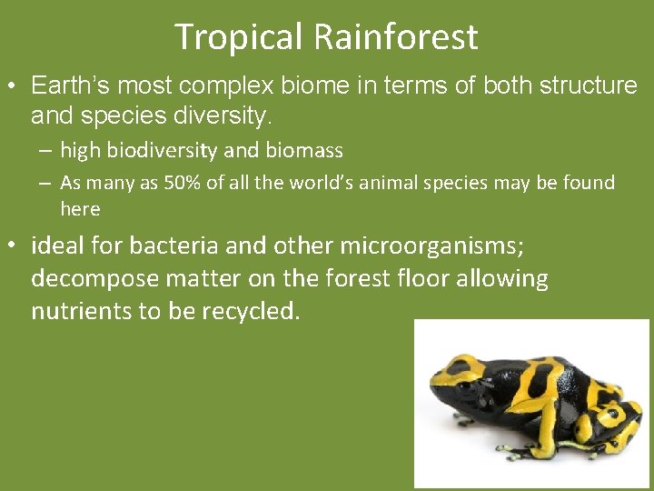 Tropical Rainforest • Earth’s most complex biome in terms of both structure and species