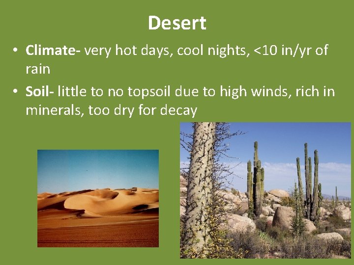 Desert • Climate- very hot days, cool nights, <10 in/yr of rain • Soil-