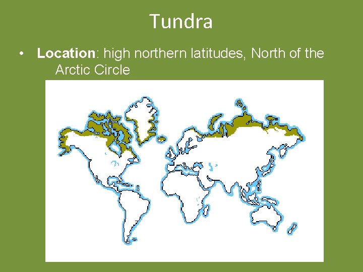 Tundra • Location: high northern latitudes, North of the Arctic Circle 