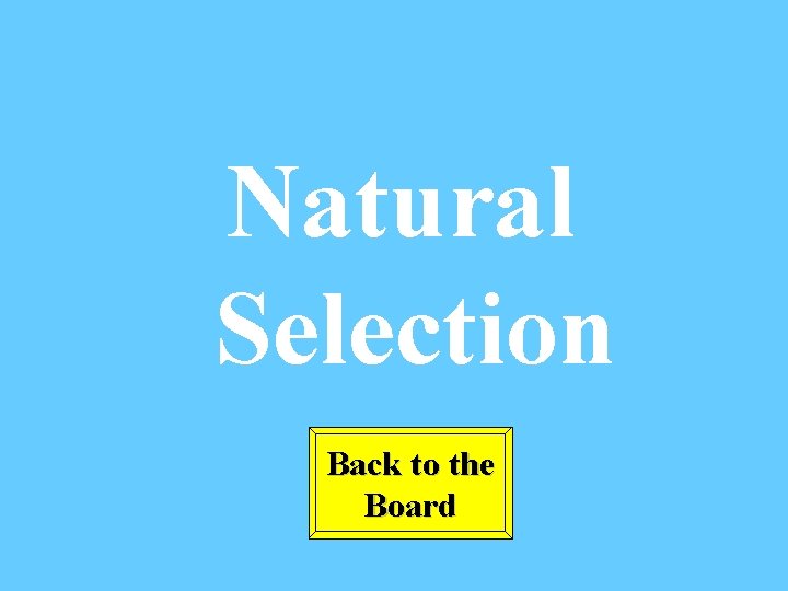 Natural Selection Back to the Board 