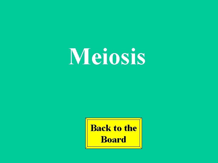 Meiosis Back to the Board 