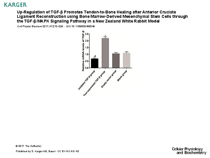 Up-Regulation of TGF-β Promotes Tendon-to-Bone Healing after Anterior Cruciate Ligament Reconstruction using Bone Marrow-Derived
