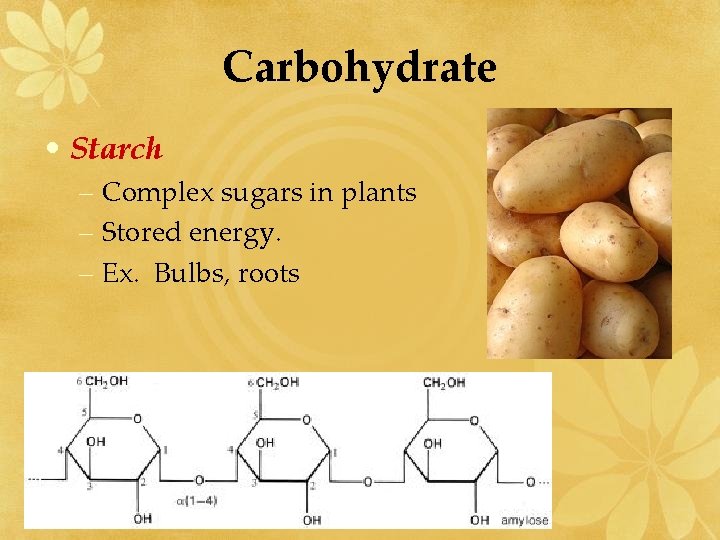 Carbohydrate • Starch – Complex sugars in plants – Stored energy. – Ex. Bulbs,