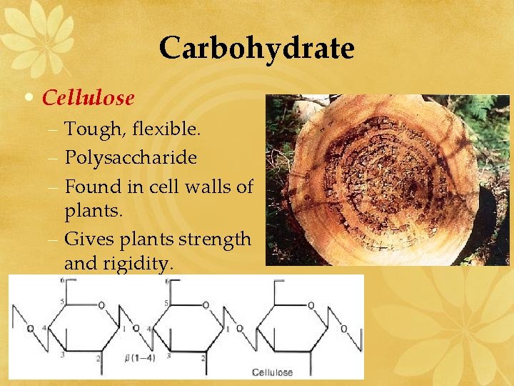 Carbohydrate • Cellulose – Tough, flexible. – Polysaccharide – Found in cell walls of