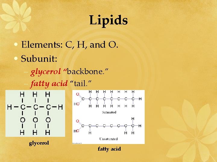 Lipids • Elements: C, H, and O. • Subunit: – glycerol “backbone. ” –
