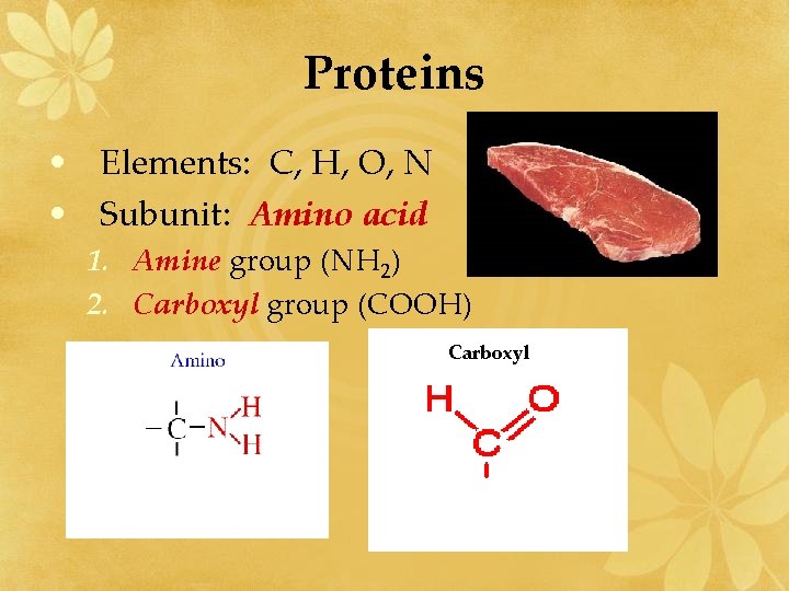Proteins • Elements: C, H, O, N • Subunit: Amino acid 1. Amine group