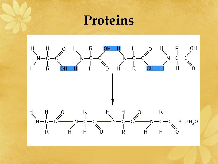 Proteins 