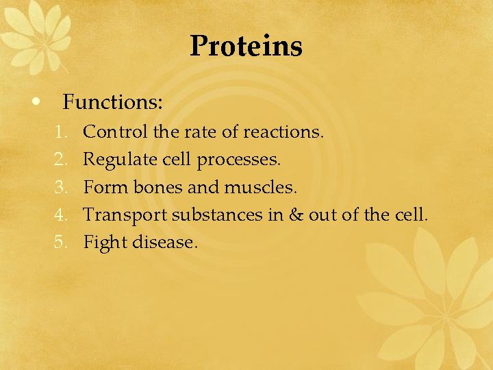 Proteins • Functions: 1. 2. 3. 4. 5. Control the rate of reactions. Regulate