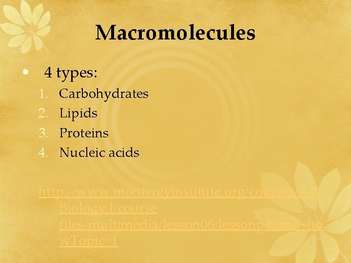 Macromolecules • 4 types: 1. 2. 3. 4. Carbohydrates Lipids Proteins Nucleic acids http: