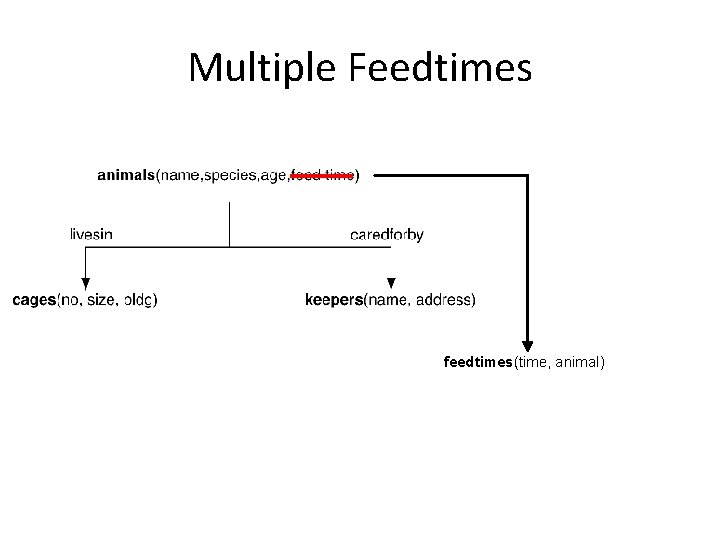 Multiple Feedtimes feedtimes(time, animal) 