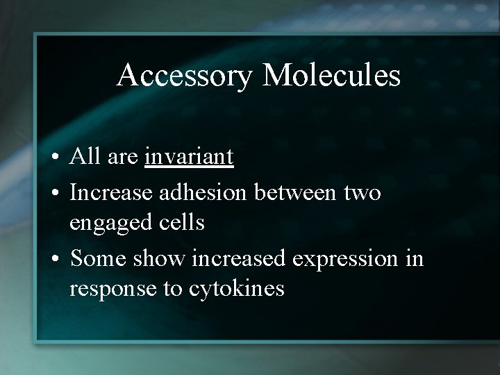 Accessory Molecules • All are invariant • Increase adhesion between two engaged cells •