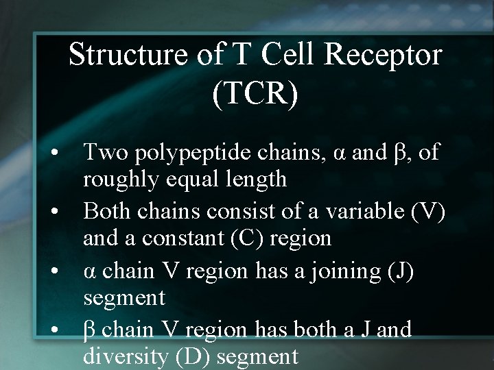 Structure of T Cell Receptor (TCR) • Two polypeptide chains, α and β, of