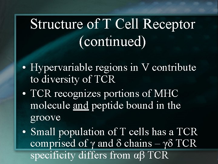 Structure of T Cell Receptor (continued) • Hypervariable regions in V contribute to diversity