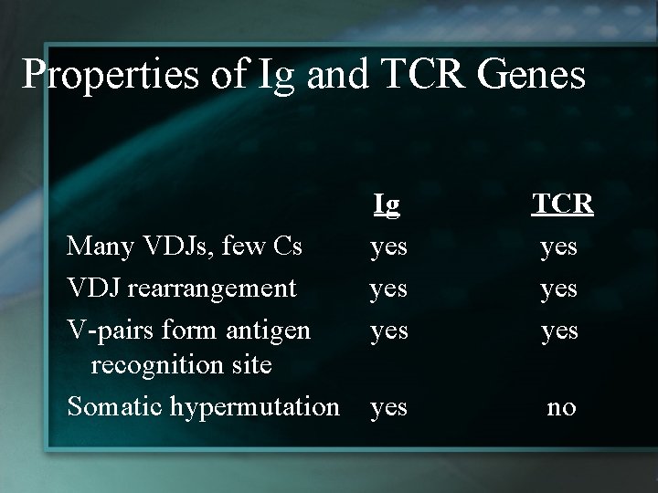 Properties of Ig and TCR Genes Many VDJs, few Cs VDJ rearrangement V-pairs form