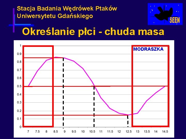 Stacja Badania Wędrówek Ptaków Uniwersytetu Gdańskiego Określanie płci - chuda masa MODRASZKA 