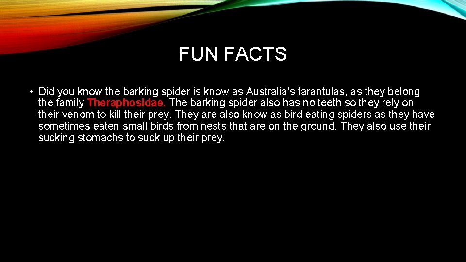 FUN FACTS • Did you know the barking spider is know as Australia's tarantulas,