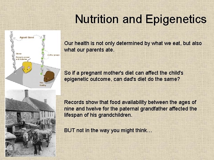Nutrition and Epigenetics Our health is not only determined by what we eat, but