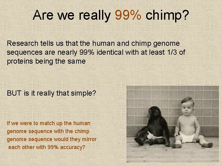 Are we really 99% chimp? Research tells us that the human and chimp genome
