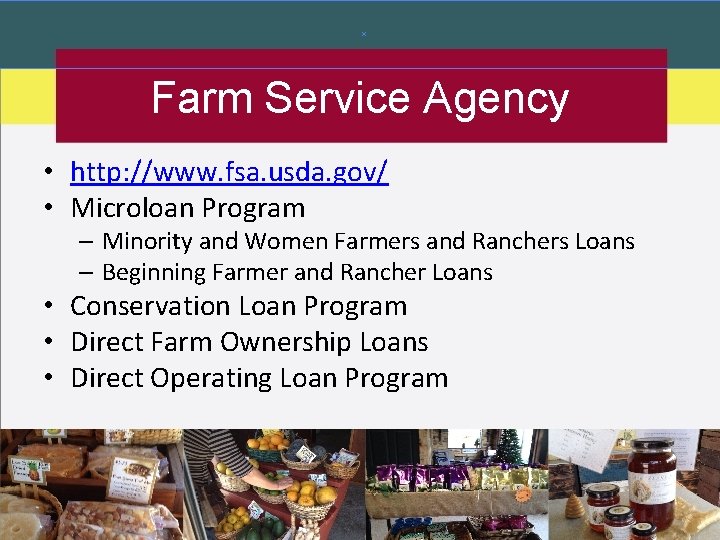 Farm Service Agency • http: //www. fsa. usda. gov/ • Microloan Program – Minority