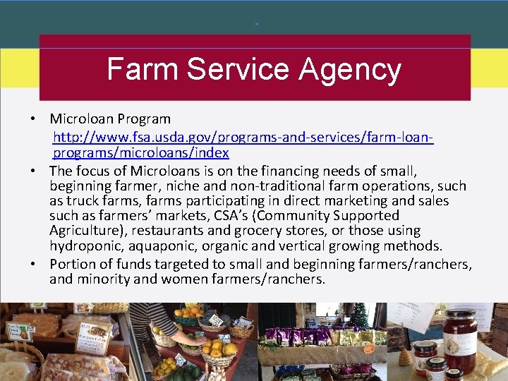 Farm Service Agency • Microloan Program http: //www. fsa. usda. gov/programs-and-services/farm-loanprograms/microloans/index • The focus