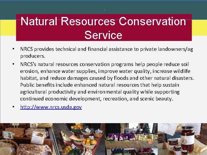 Natural Resources Conservation Service • NRCS provides technical and financial assistance to private landowners/ag