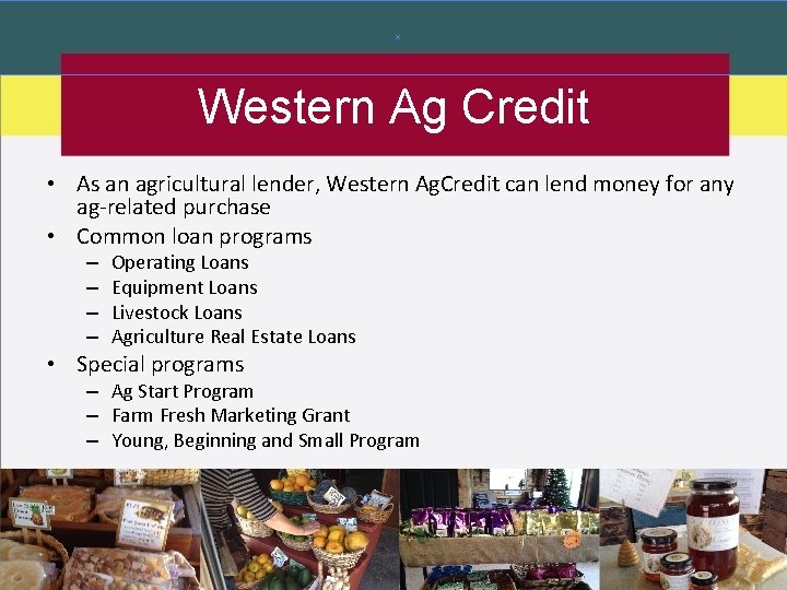 Western Ag Credit • As an agricultural lender, Western Ag. Credit can lend money