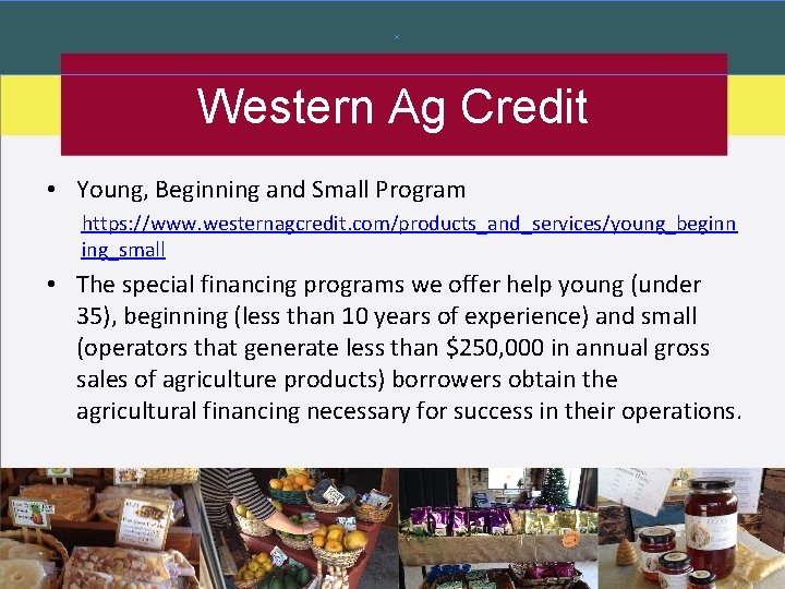 Western Ag Credit • Young, Beginning and Small Program https: //www. westernagcredit. com/products_and_services/young_beginn ing_small