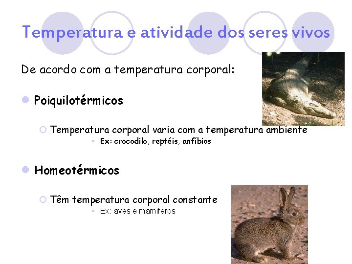 Temperatura e atividade dos seres vivos De acordo com a temperatura corporal: l Poiquilotérmicos