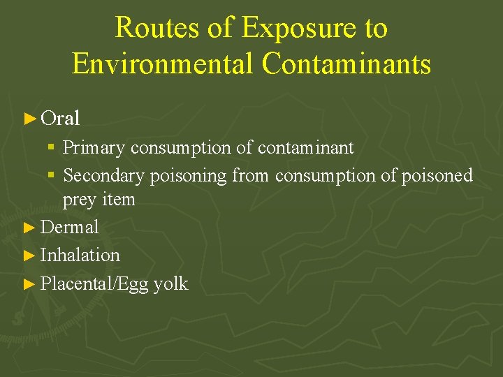 Routes of Exposure to Environmental Contaminants ► Oral § Primary consumption of contaminant §