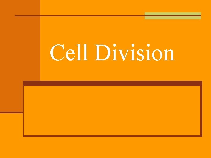 Cell Division 