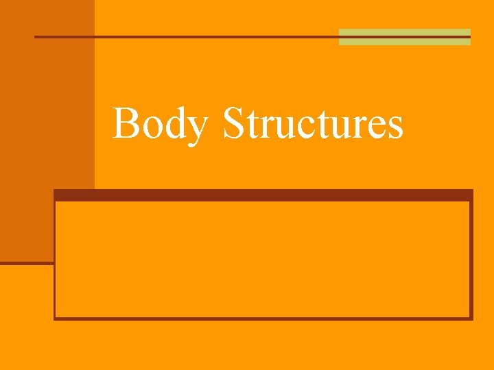 Body Structures 