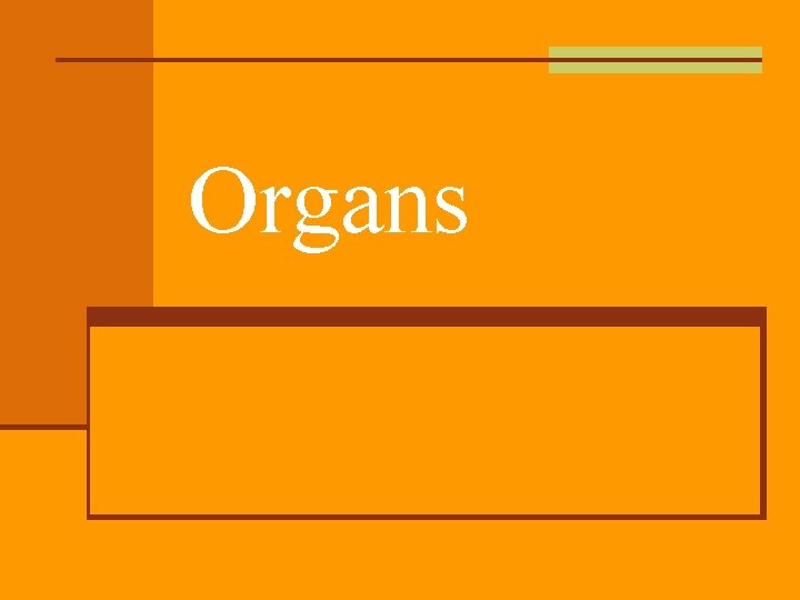 Organs 