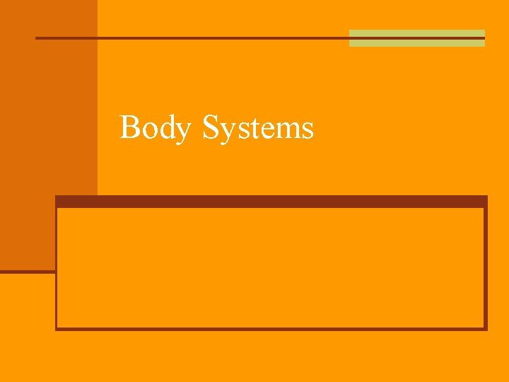 Body Systems 