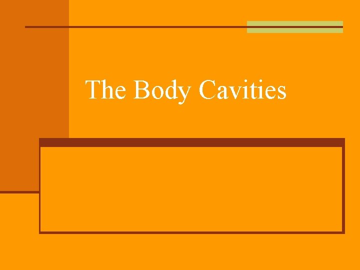The Body Cavities 