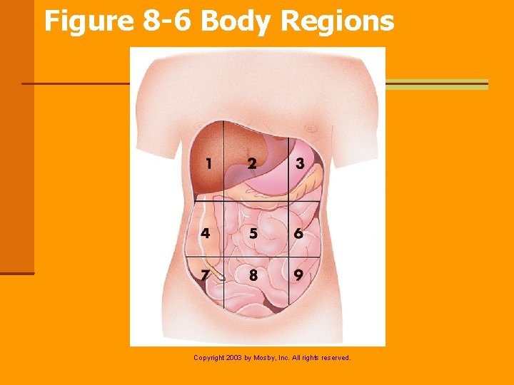 Figure 8 -6 Body Regions Copyright 2003 by Mosby, Inc. All rights reserved. 