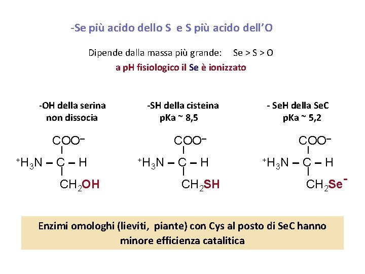 -Se più acido dello S e S più acido dell’O Dipende dalla massa più