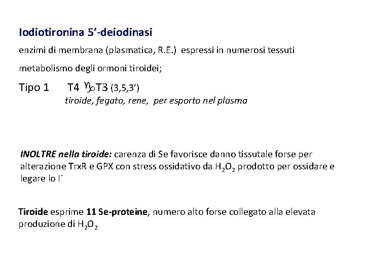 Iodiotironina 5’-deiodinasi enzimi di membrana (plasmatica, R. E. ) espressi in numerosi tessuti metabolismo