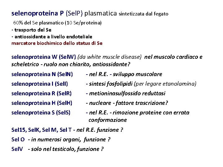 selenoproteina P (Sel. P) plasmatica sintetizzata dal fegato 60% del Se plasmatico (10 Se/proteina)