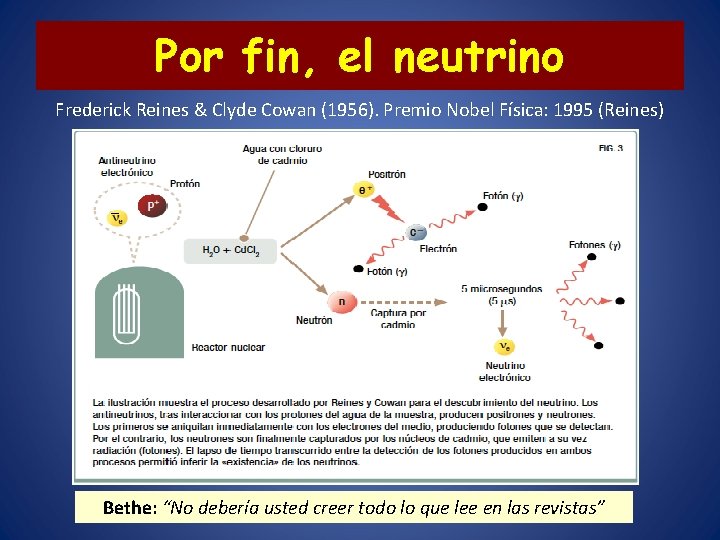 Por fin, el neutrino Frederick Reines & Clyde Cowan (1956). Premio Nobel Física: 1995