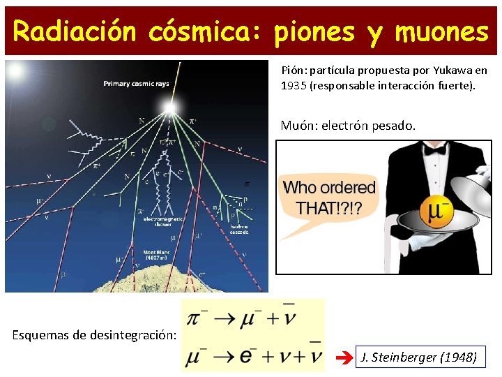 Radiación cósmica: piones y muones Pión: partícula propuesta por Yukawa en 1935 (responsable interacción