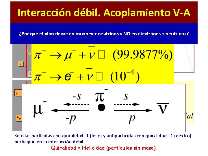 Interacción débil. Acoplamiento V-A ¿Por qué el pión decae en muones + neutrinos y