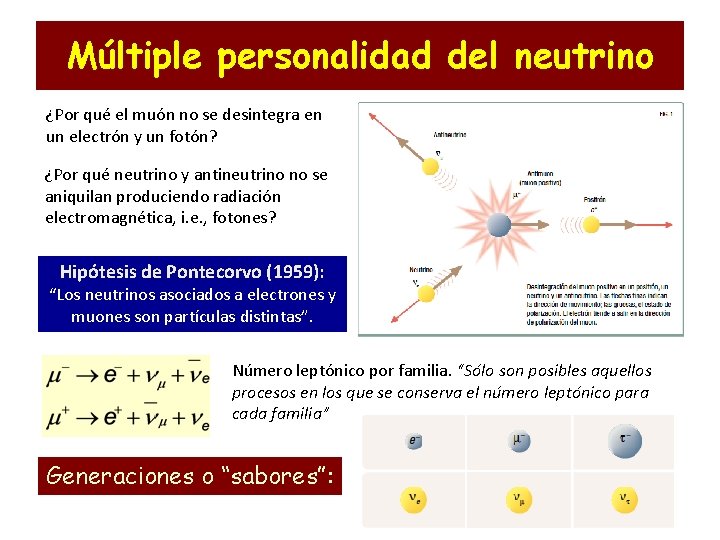 Múltiple personalidad del neutrino ¿Por qué el muón no se desintegra en un electrón