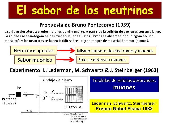 El sabor de los neutrinos Propuesta de Bruno Pontecorvo (1959) Uso de aceleradores: producir
