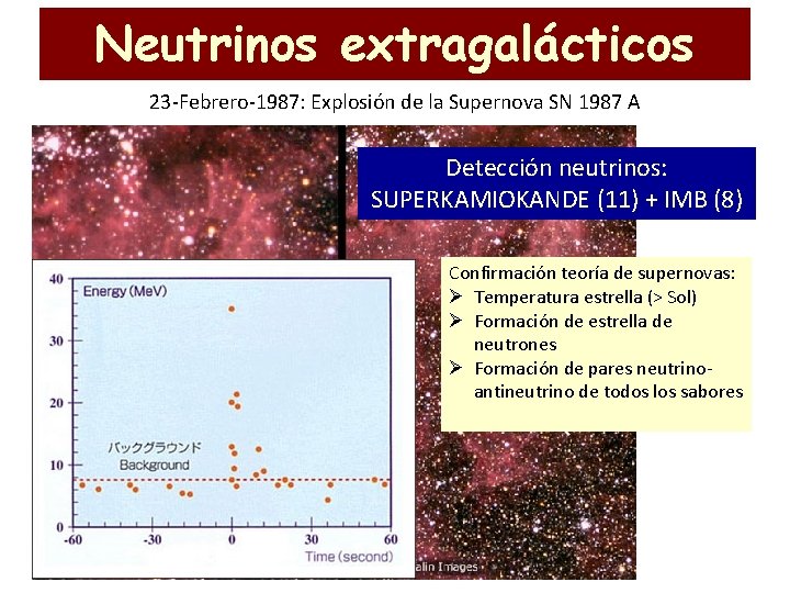 Neutrinos extragalácticos 23 -Febrero-1987: Explosión de la Supernova SN 1987 A Detección neutrinos: SUPERKAMIOKANDE